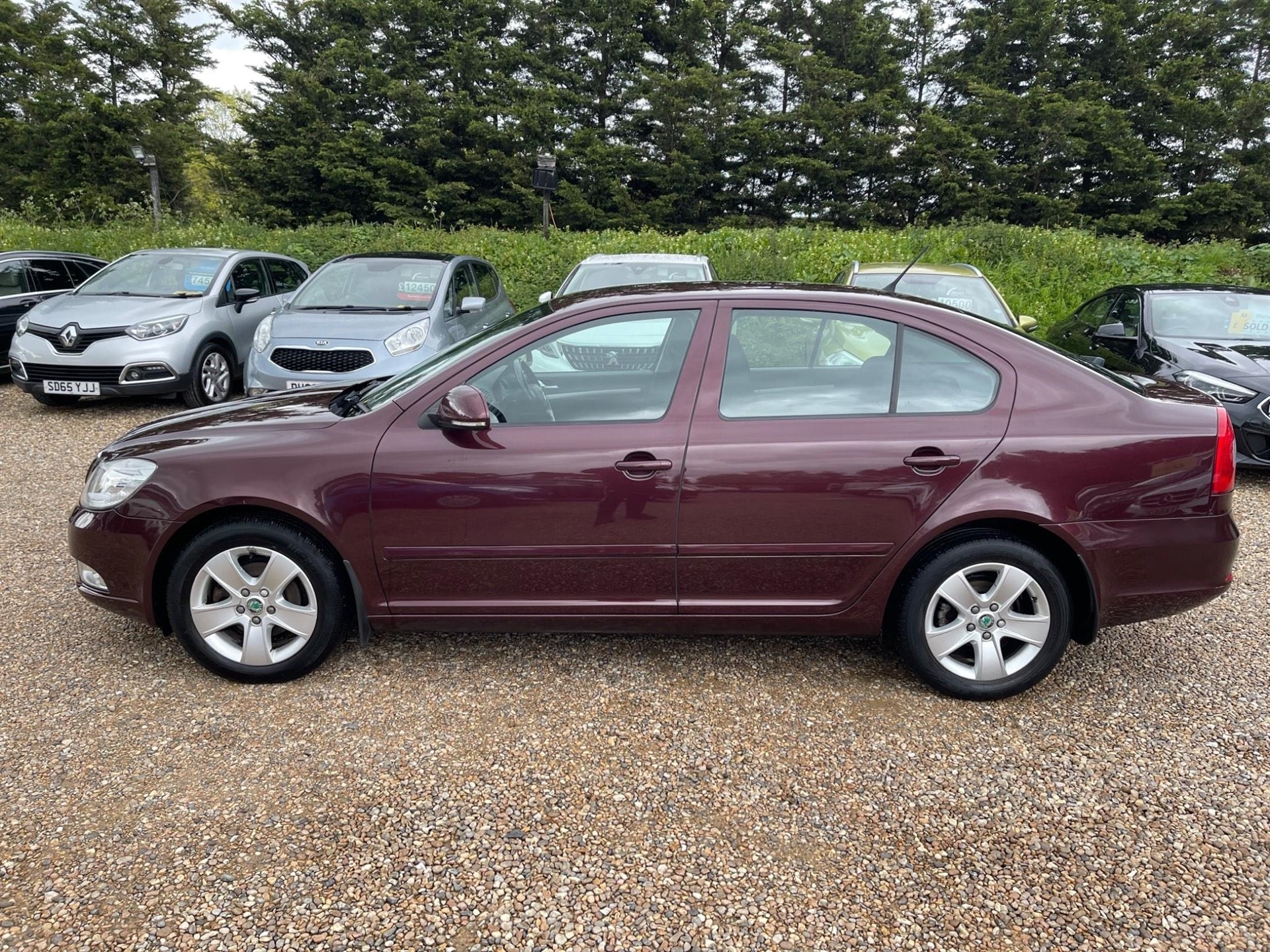 MotorSync | Skoda Octavia 1.6 TDI Elegance Euro 5 5dr